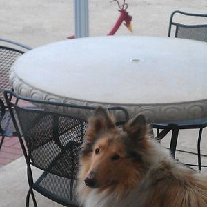 Meet your Posher, Vicki l